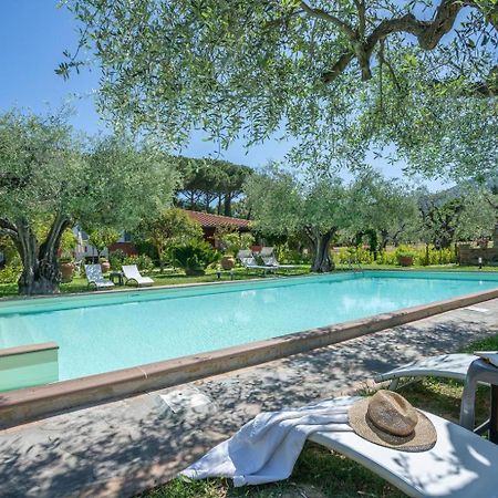 Agriturismo Buen Camino Scarlino Exteriér fotografie