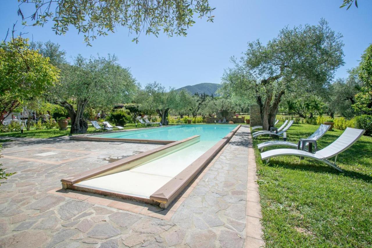 Agriturismo Buen Camino Scarlino Exteriér fotografie