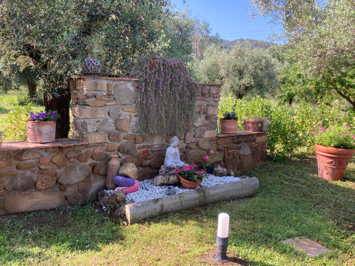 Agriturismo Buen Camino Scarlino Exteriér fotografie
