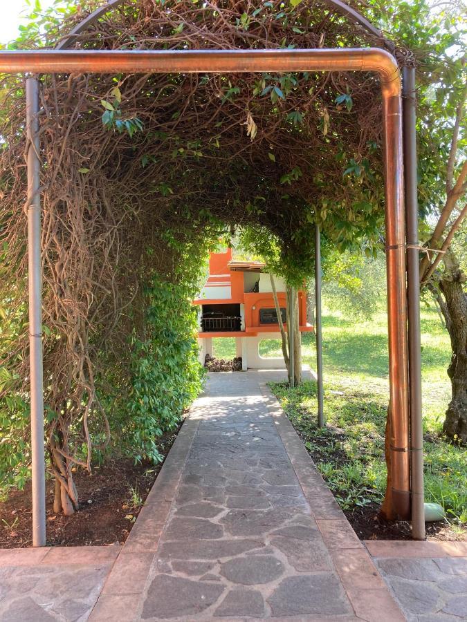 Agriturismo Buen Camino Scarlino Exteriér fotografie